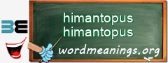 WordMeaning blackboard for himantopus himantopus